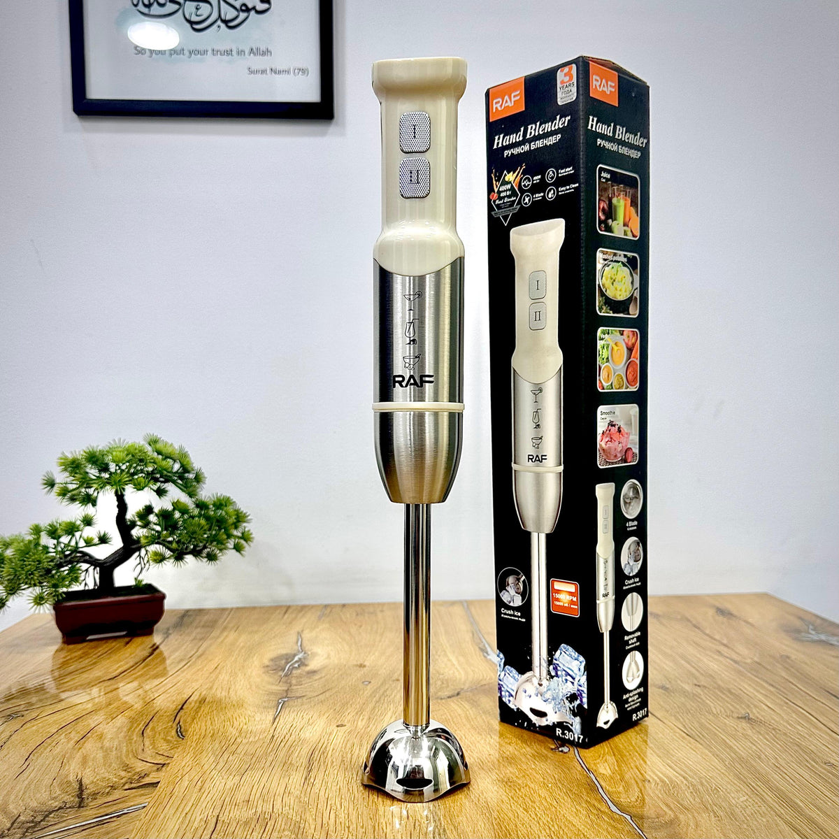 RAF R.3017 400W hand blender with stainless steel immersion shaft and blending blade